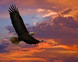 21619_541600485866097_1881731693_n