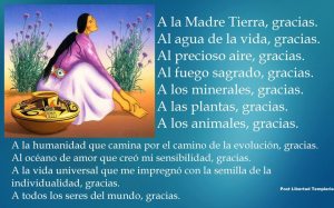 6592_10200927832946998_211336624_n